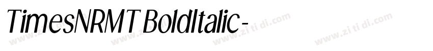 TimesNRMT BoldItalic字体转换